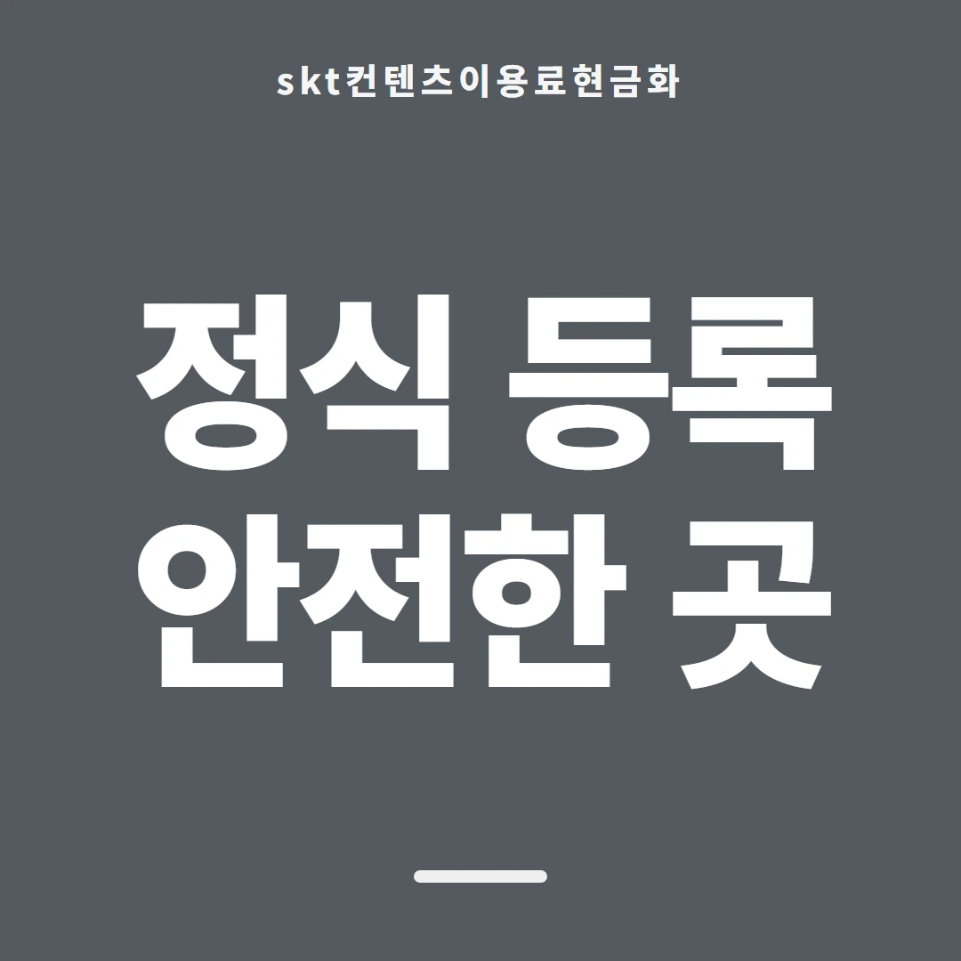품티켓 SKT 콘텐츠이용료 청구서 콘텐츠 갈래 안내 이미지