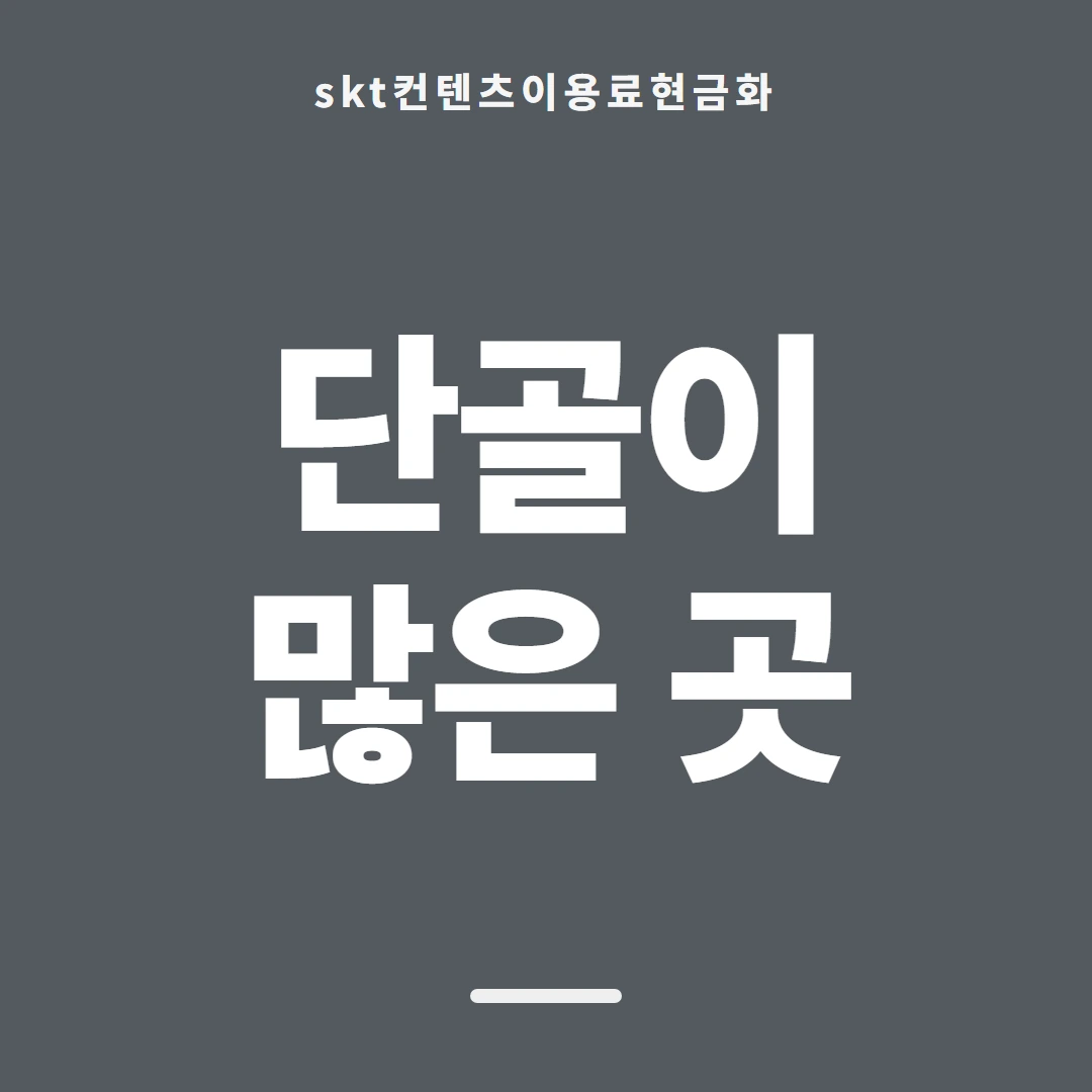 품티켓 SKT 콘텐츠이용료 지난 결제 기록 안내 이미지